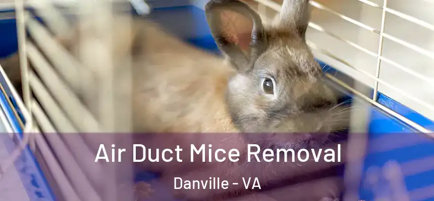  Air Duct Mice Removal Danville - VA