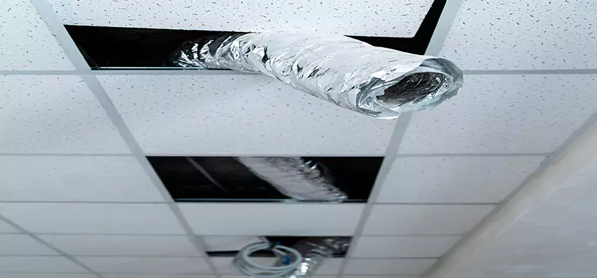 Our Air Duct Pet Hair Removal Services in Danville, VA