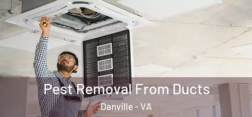 Pest Removal From Ducts Danville - VA