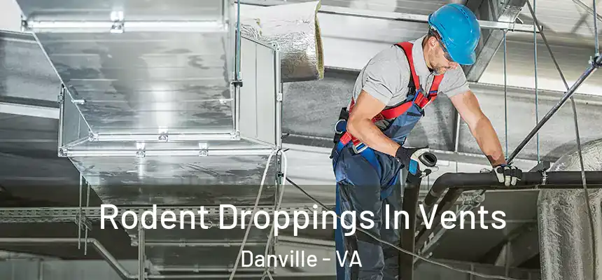 Rodent Droppings In Vents Danville - VA