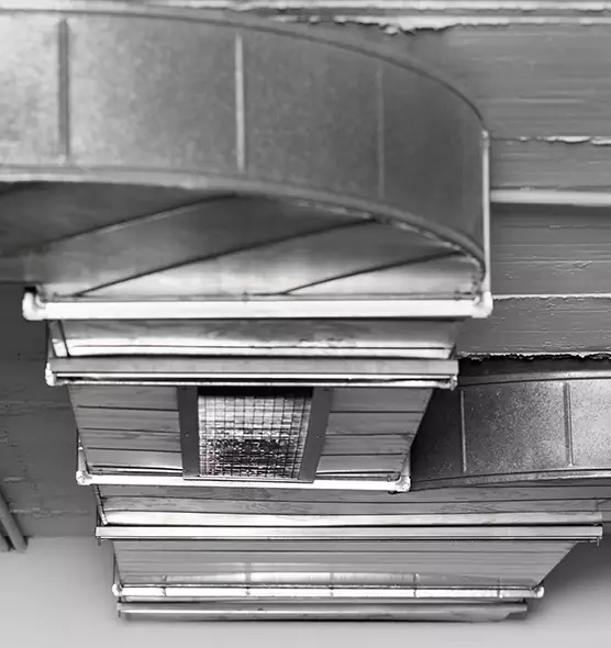 Professional Air Duct Pet Hair Removal in Danville, VA