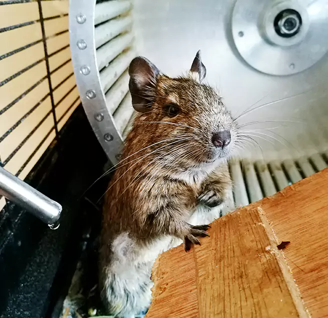 Why Homeowners & Businesses Trust Us Danville, VA