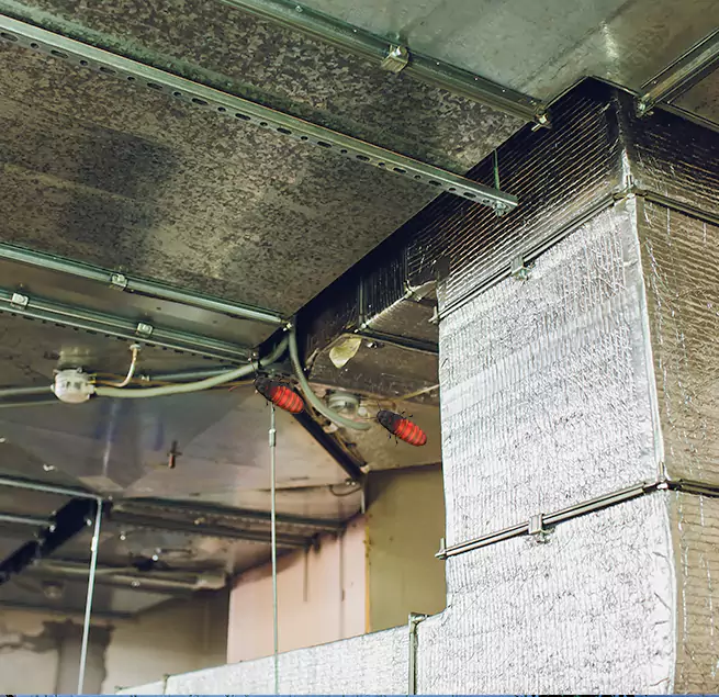 Why Homeowners & Businesses Trust Us Danville, VA?