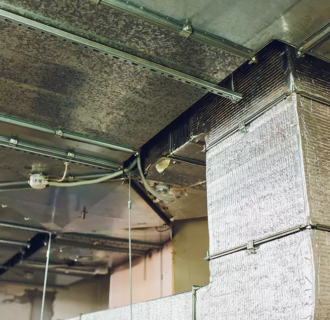 Why Homeowners & Businesses Trust Us in Danville, VA?